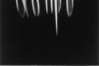 Ein weißer Karton steht senkrecht auf einem weißen Hintergrund. Durch die Veränderung der Beleuchtung erscheint die Projektion des in den Karton eingeschnittenen Schriftzugs des griechischen Wortes für weiß von Bild zu Bild immer deutlicher, um sich wieder aufzulösen. Bildreihe (3 von 4): Georgios Anastasiades