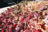 Blüten Experiment. Ausschnitt aus Blütenmandala als Farbenkreis. Bild: Thomas Born  