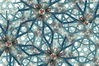 Cyborgisierung und Artificial Life. Der vernetzte Mensch. Bild: Anne Morgenroth (FHTW Berlin)